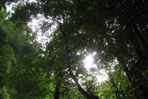 Hidden Corners, The Kings Levada Full day hike