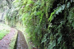 Hidden Corners, The Kings Levada Full day hike