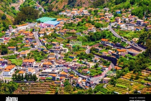 Tour guiado en furgoneta por Madeira (desde Funchal)