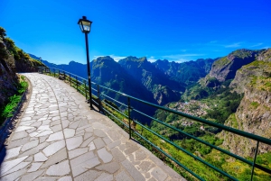 Tour guiado en furgoneta por Madeira (desde Funchal)