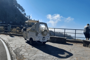 Tour guiado en furgoneta por Madeira (desde Funchal)