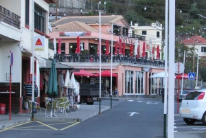 Tour guiado en furgoneta por Madeira (desde Funchal)