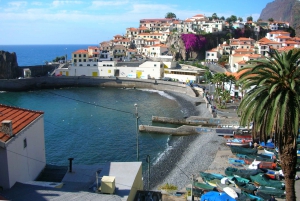 Tour guiado en furgoneta por Madeira (desde Funchal)