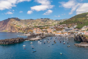 Tour guiado en furgoneta por Madeira (desde Funchal)
