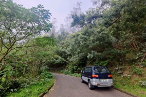 Tour guiado en furgoneta por Madeira (desde Funchal)