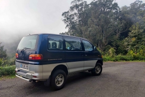 Tour guiado en furgoneta por Madeira (desde Funchal)