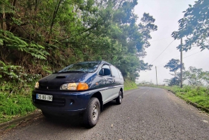 Tour guiado en furgoneta por Madeira (desde Funchal)