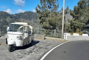 Tour guiado en furgoneta por Madeira (desde Funchal)