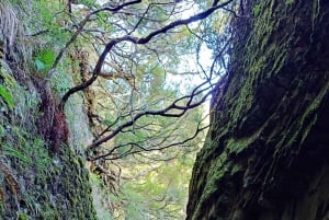 Hike in Rabaçal in a different way