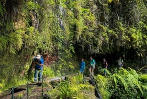 Hiking Madeira: Levada do Rei and the Majestic Laurissilva