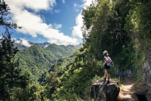 Hiking Madeira: Levada do Rei and the Majestic Laurissilva