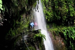 Hiking Madeira: Levada do Rei and the Majestic Laurissilva