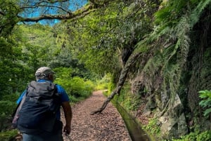 Faz caminhadas na Madeira: Levada do Rei e a majestosa Laurissilva