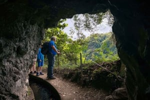 Faz caminhadas na Madeira: Levada do Rei e a majestosa Laurissilva