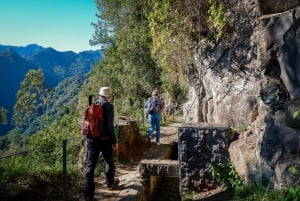 Faz caminhadas na Madeira: Levada do Rei e a majestosa Laurissilva