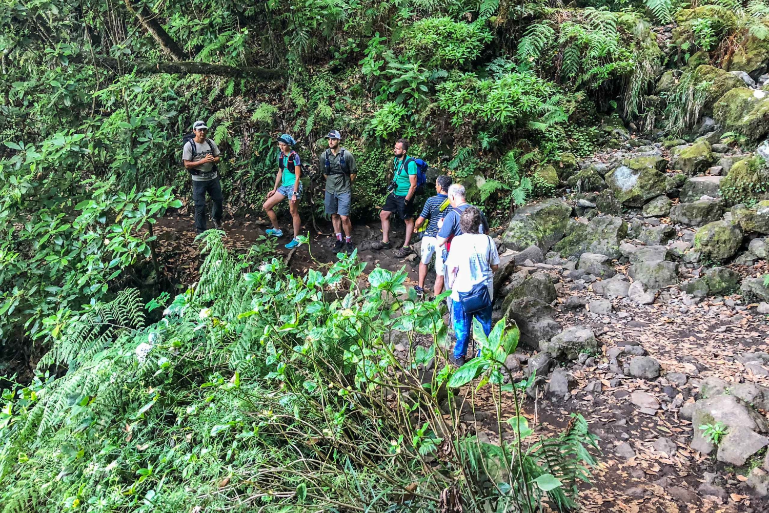 Hiking Trip with a Local