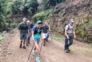 Hiking Trip with a Local