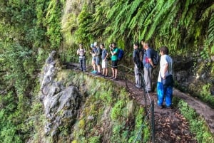 Hiking Trip with a Local