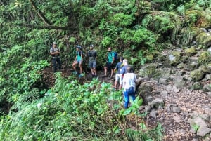 Hiking Trip with a Local