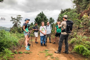 Hiking Trip with a Local