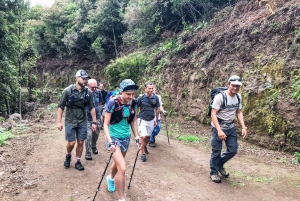 Hiking Trip with a Local