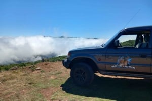 MADEIRA: Jeep Safari to Lava Pools and Seixal Full-Day West