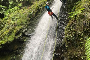 Intermediate Canyoning Madeira