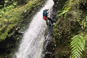 Intermediate Canyoning Madeira