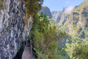 En el caldero verde: Queimadas