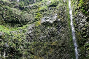 En el caldero verde: Queimadas