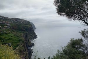 Jeep Tour with Madeira Wine Tasting .