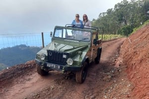 Jeep Tour with Madeira Wine Tasting .