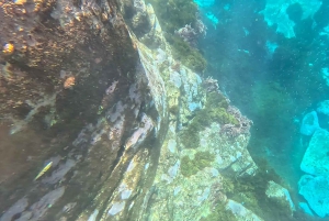 Funchal: Kayak and Snorkel Tour to Garajau NR