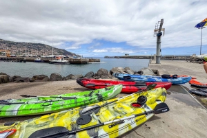 Funchal: Kayak and Snorkel Tour to Garajau NR