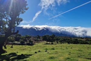 Let-Me-Surprise-You Madeira Full Day Private Tour