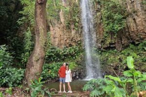 Let-Me-Surprise-You Madeira Full Day Private Tour