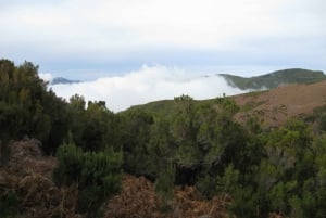 Levada do Alecrim (Madeira Lakes) Full-day walk