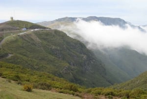 Levada do Alecrim (Madeira Lakes) Full-day walk