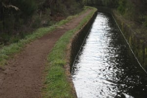 Levada do Alecrim (Madeira Lakes) Full-day walk