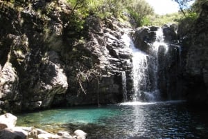 Levada do Alecrim (Madeira Lakes) Full-day walk