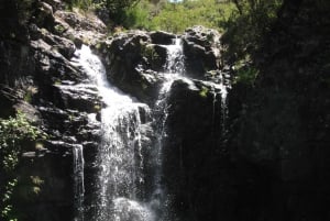 Levada do Alecrim (Madeira Lakes) Full-day walk