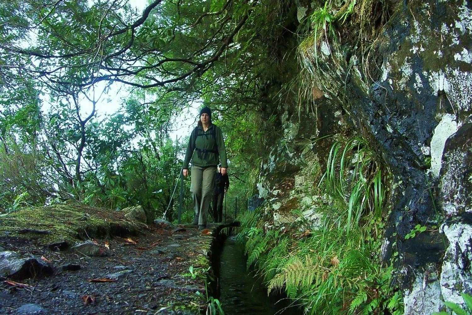 Levada Walk und Caldeirao Verde Wasserfälle: Madeira