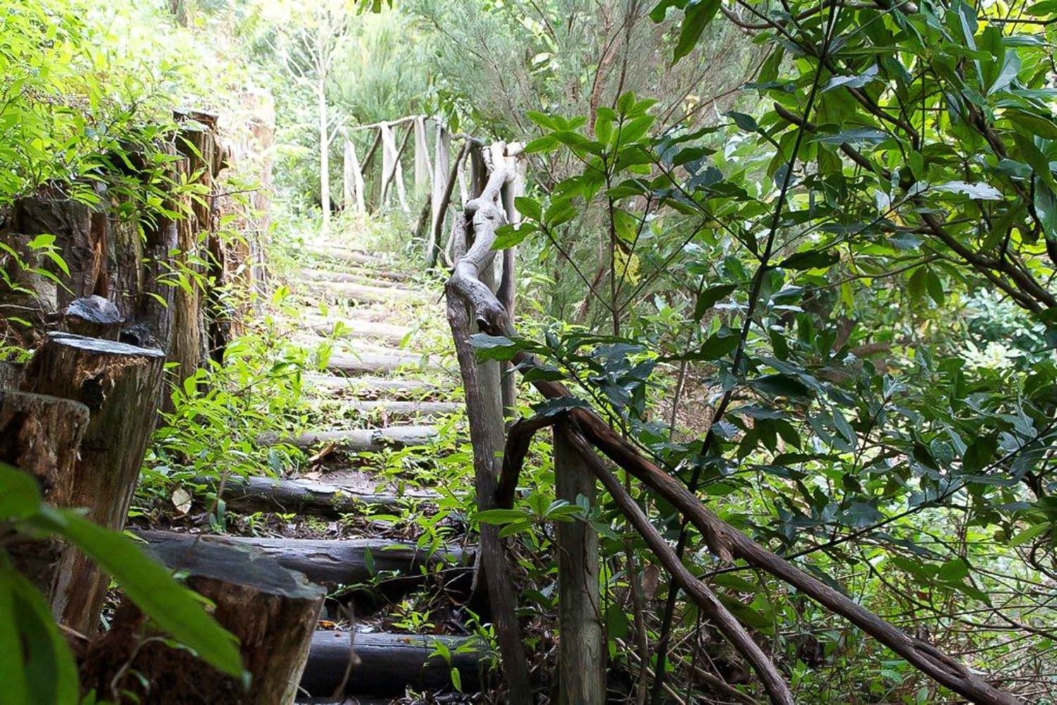 Levada Walk und Caldeirao Verde Wasserfälle: Madeira