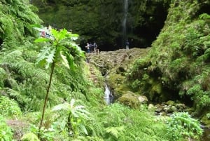 Levada Walk and Caldeirao Verde Waterfalls: Madeira