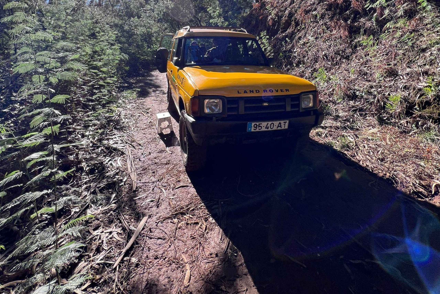Levada Walk East Santana Dagsutflykt med jeep, Pico do Arieiro