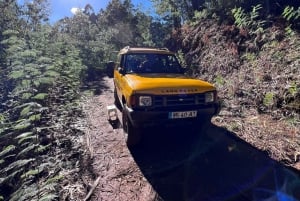 Levada Walk East Santana Full-Day Jeep Tour, Pico do Arieiro