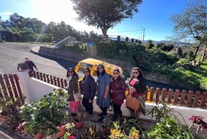 Levada Walk East Santana Full-Day Jeep Tour, Pico do Arieiro