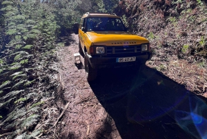 Levada Walk East Santana Dagsutflykt med jeep, Pico do Arieiro