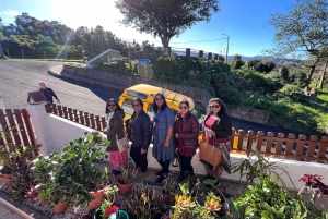 Levada Walk East Santana Dagsutflykt med jeep, Pico do Arieiro