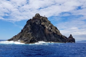 Madeira: Ponta de São Lourenço Lighthouse Boat Tour